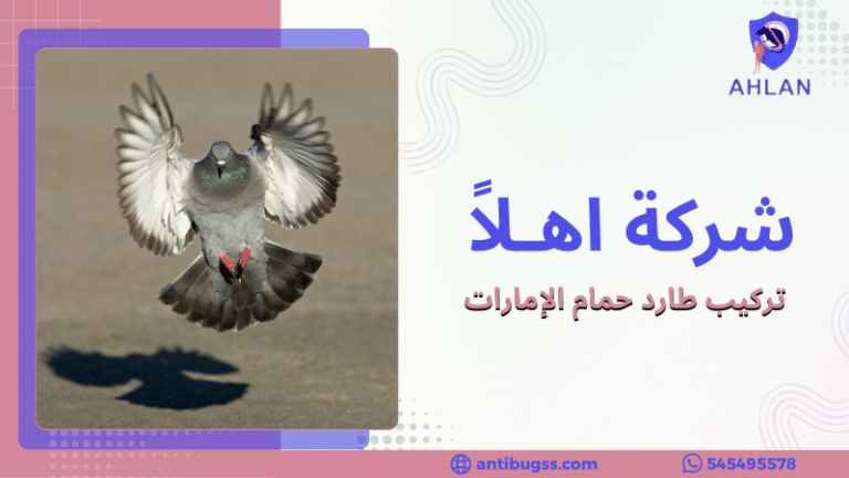 تركيب طارد حمام الإمارات