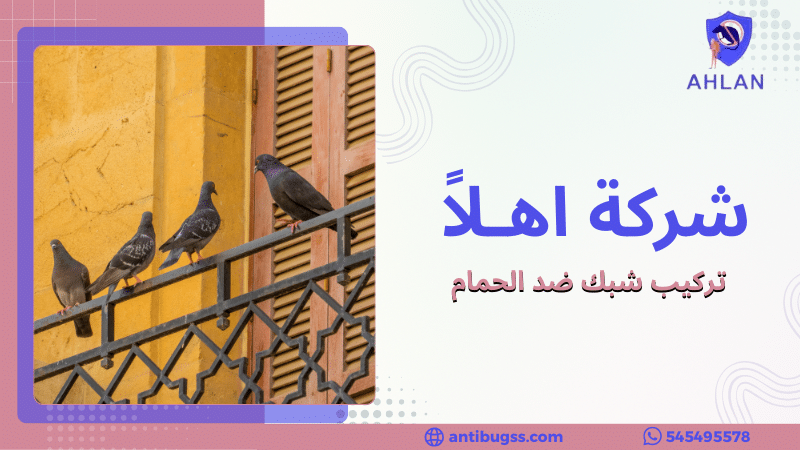 تركيب شبك ضد الحمام