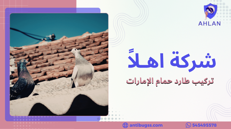 تركيب طارد حمام الإمارات