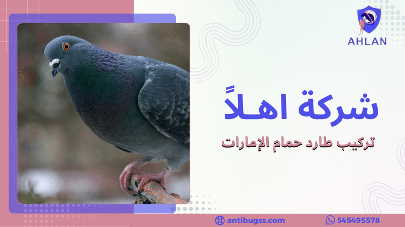 تركيب طارد حمام الإمارات