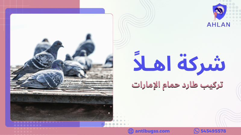 تركيب طارد حمام الإمارات