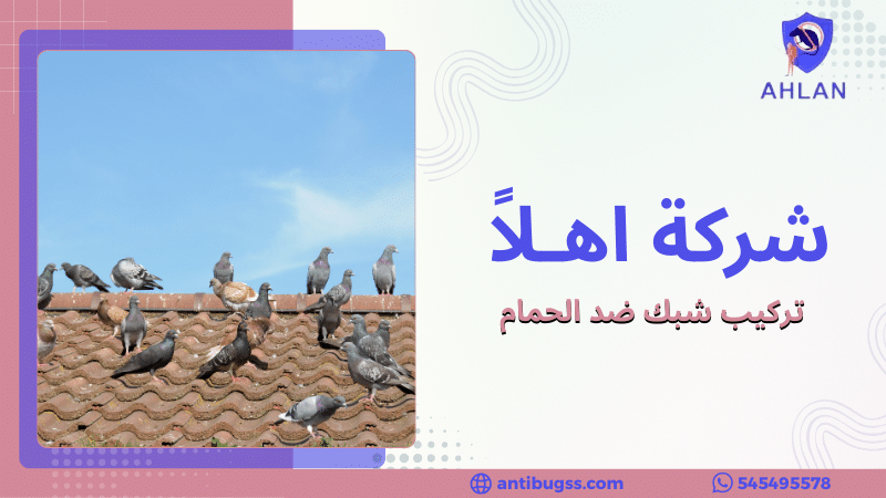 تركيب شبك ضد الحمام