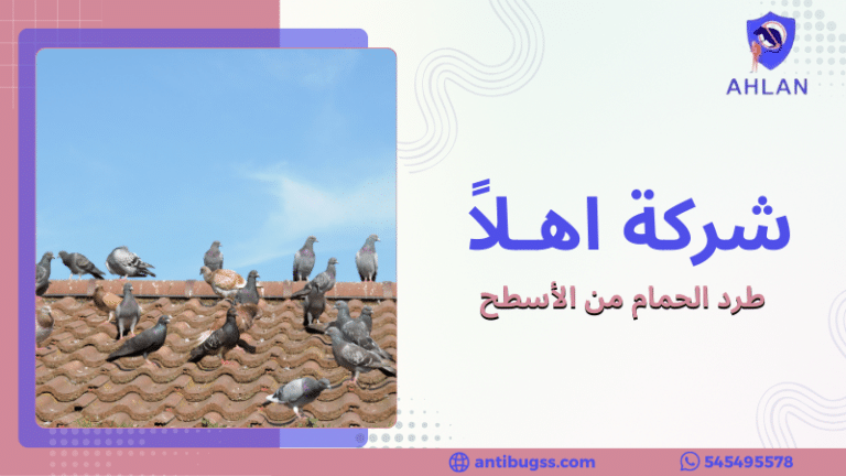 طرد الحمام من الأسطح