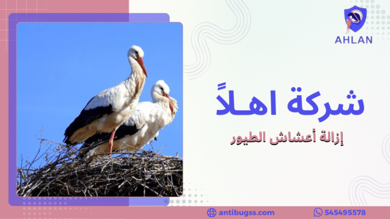 إزالة أعشاش الطيور