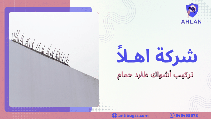 تركيب أشواك طارد حمام