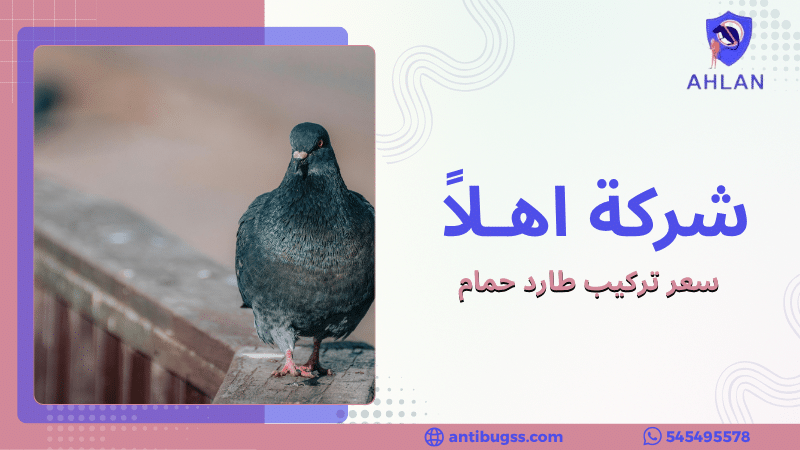 سعر تركيب طارد حمام