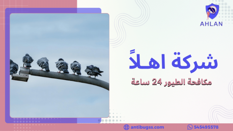 مكافحة الطيور 24 ساعة