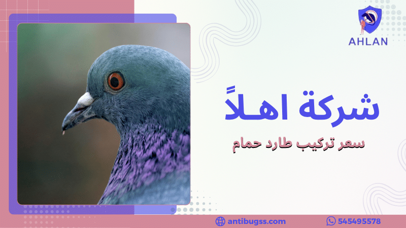 سعر تركيب طارد حمام