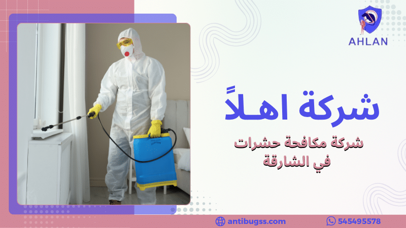 شركة مكافحة حشرات في الشارقة