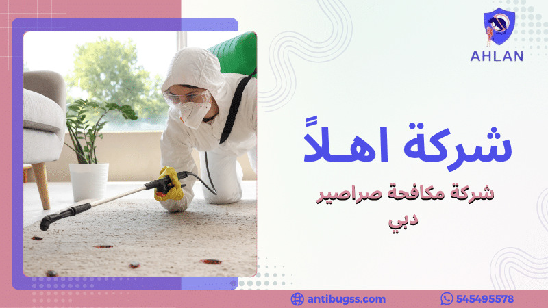 شركة مكافحة صراصير دبي