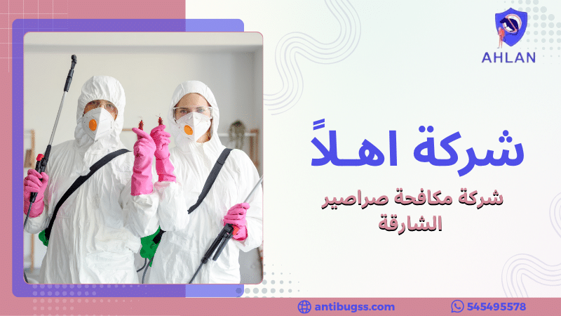 شركة مكافحة صراصير الشارقة