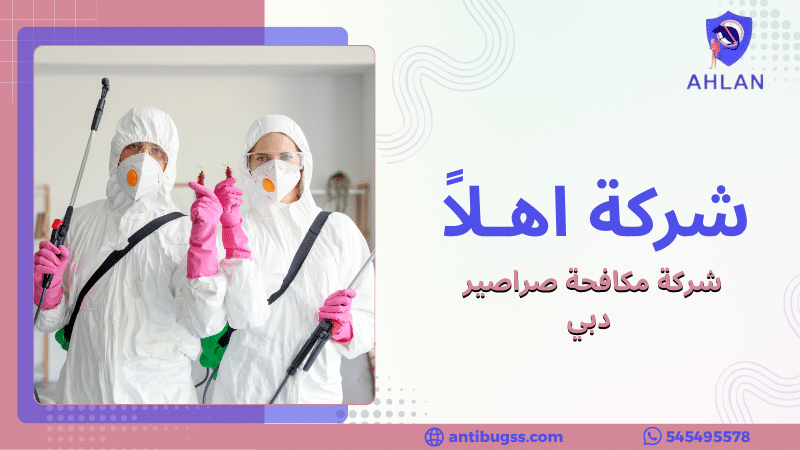 شركة مكافحة صراصير دبي