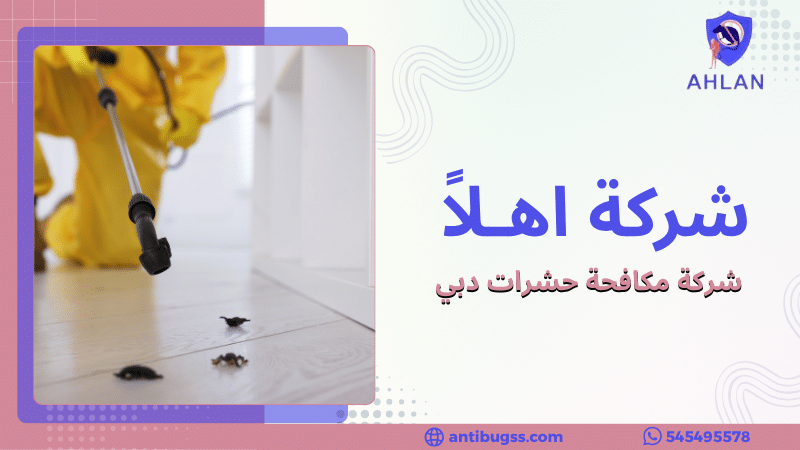 شركة مكافحة حشرات دبي