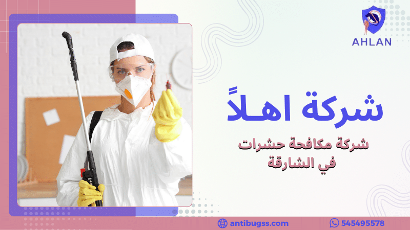 شركة مكافحة حشرات في الشارقة