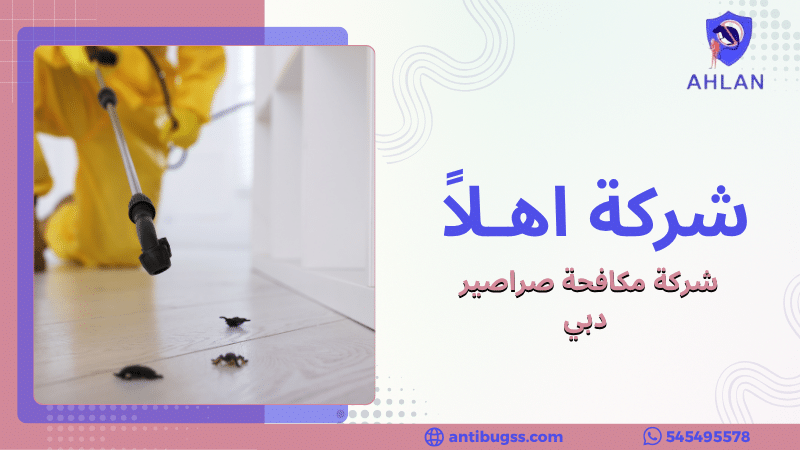 شركة مكافحة صراصير دبي