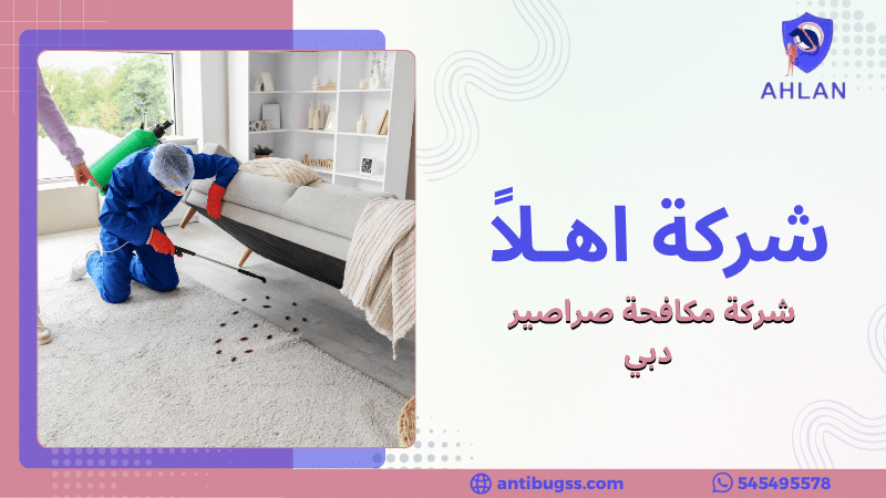 شركة مكافحة صراصير دبي