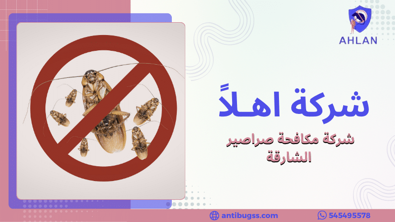 شركة مكافحة صراصير الشارقة