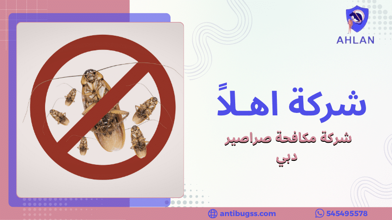 شركة مكافحة صراصير دبي