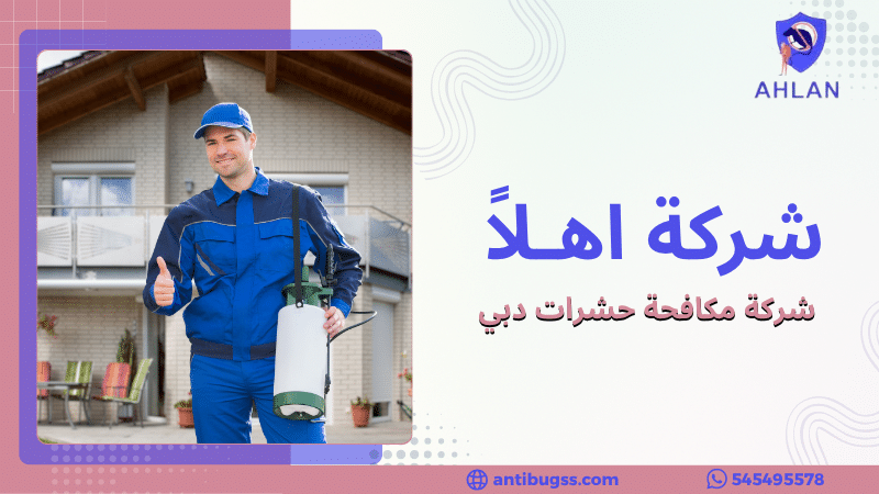 شركة مكافحة حشرات دبي