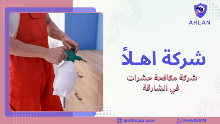 شركة مكافحة حشرات في الشارقة