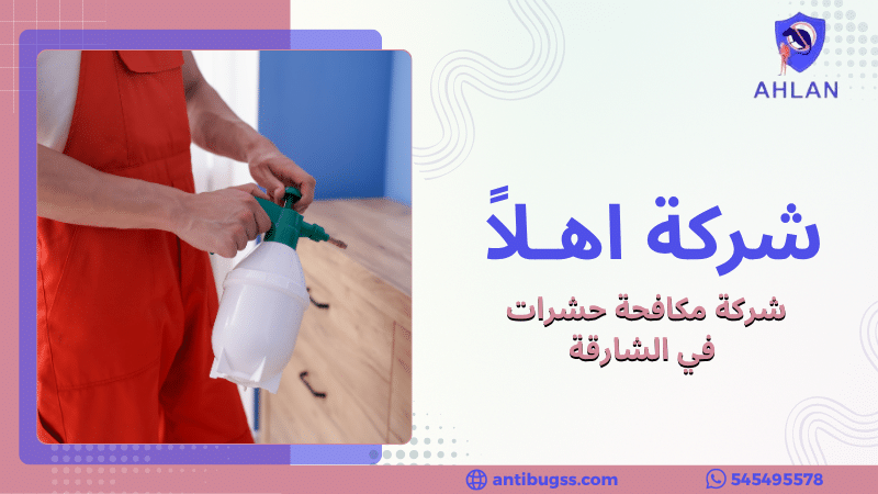 شركة مكافحة حشرات في الشارقة