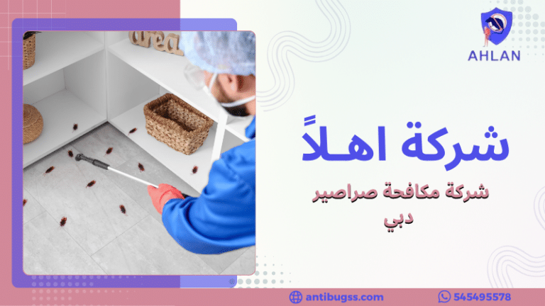 شركة مكافحة صراصير دبي
