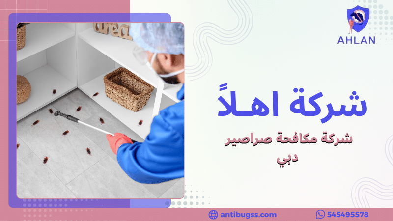 شركة مكافحة صراصير دبي