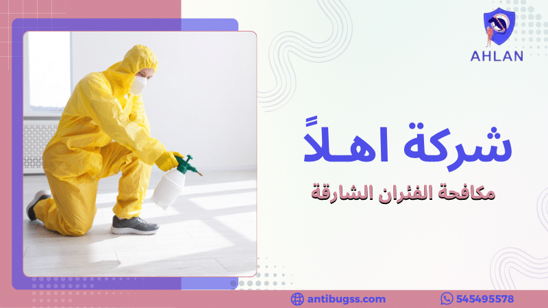 مكافحة الفئران الشارقة