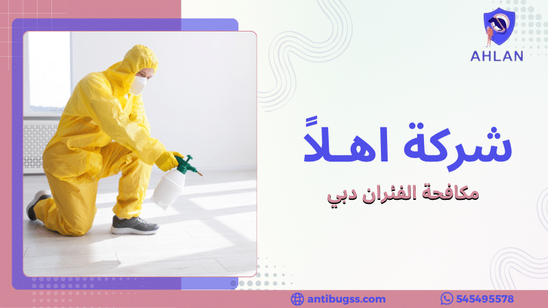 مكافحة الفئران دبي