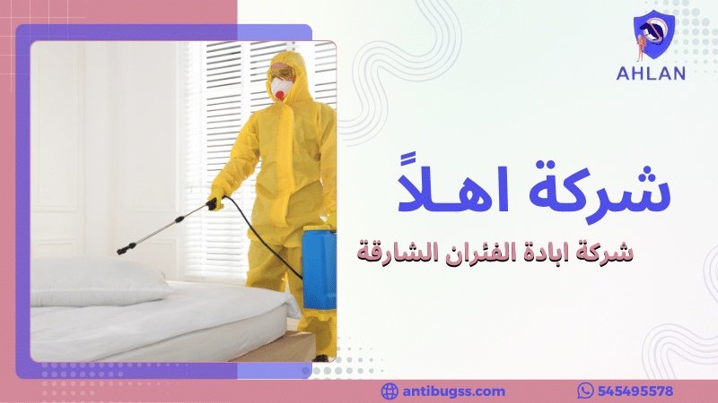 شركة ابادة الفئران الشارقة