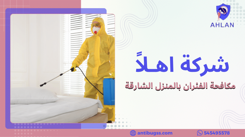 مكافحة الفئران بالمنزل الشارقة