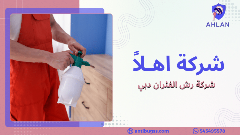 شركة رش الفئران دبي