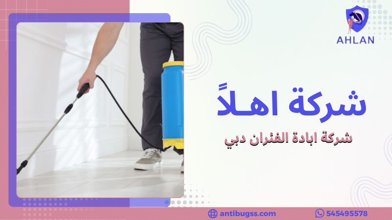 شركة ابادة الفئران دبي