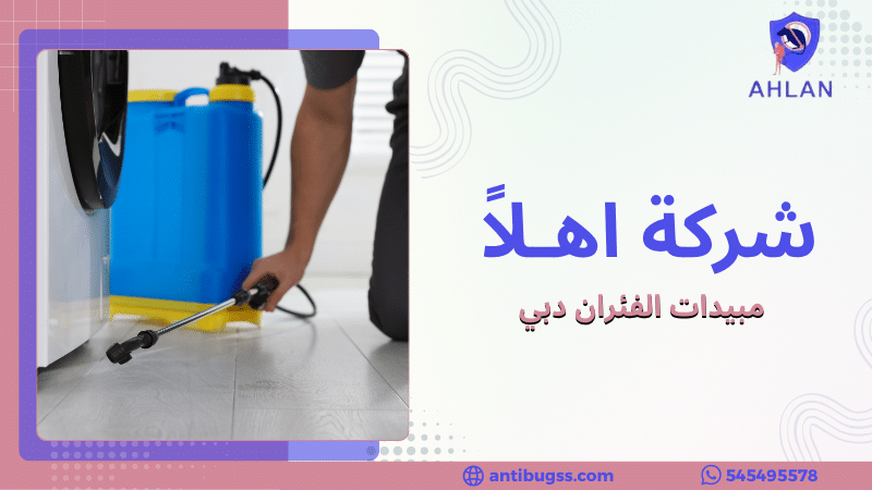 مبيدات الفئران دبي