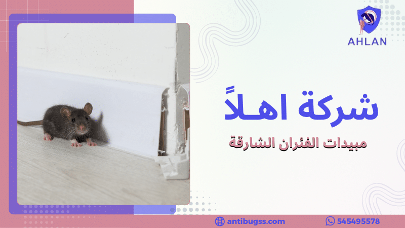 مبيدات الفئران الشارقة