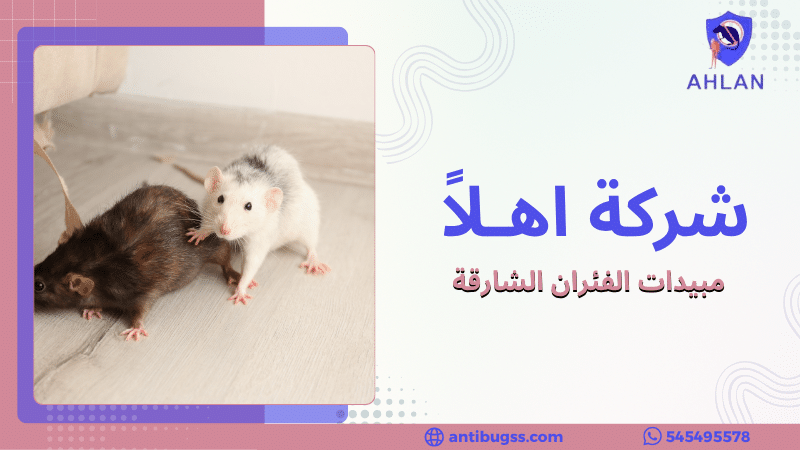 مبيدات الفئران الشارقة