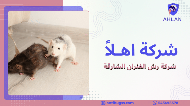 شركة رش الفئران الشارقة