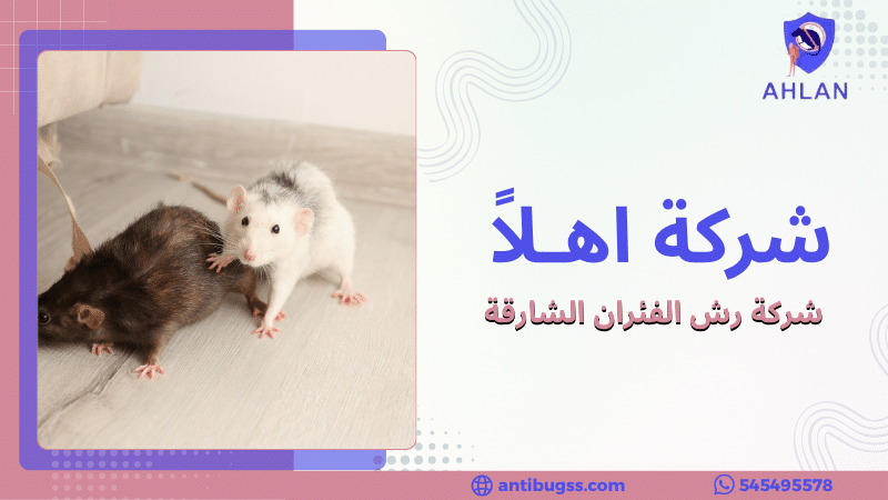 شركة رش الفئران الشارقة