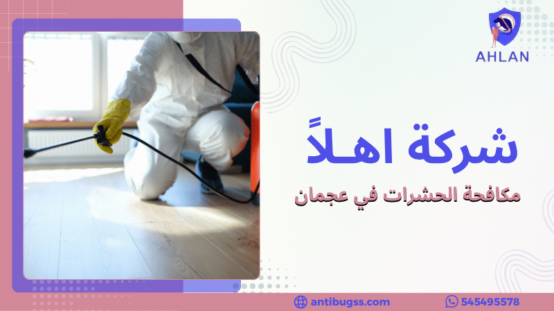 مكافحة الحشرات في عجمان