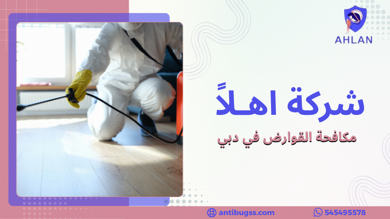 مكافحة القوارض في دبي