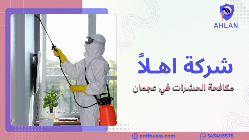 مكافحة الحشرات في عجمان