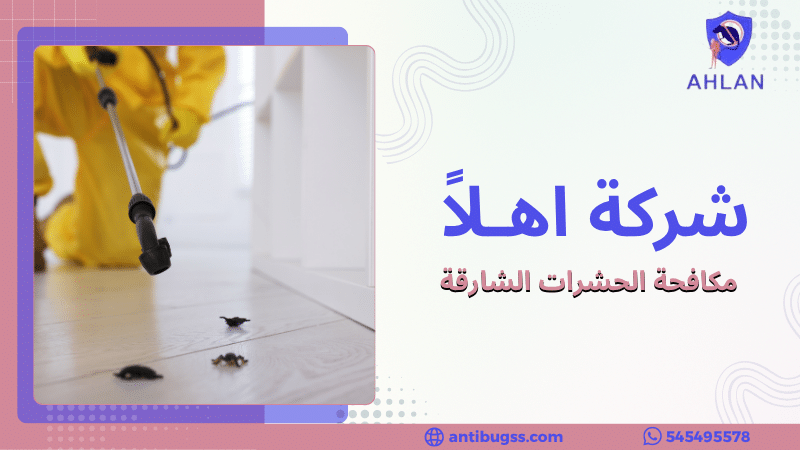 مكافحة الحشرات الشارقة