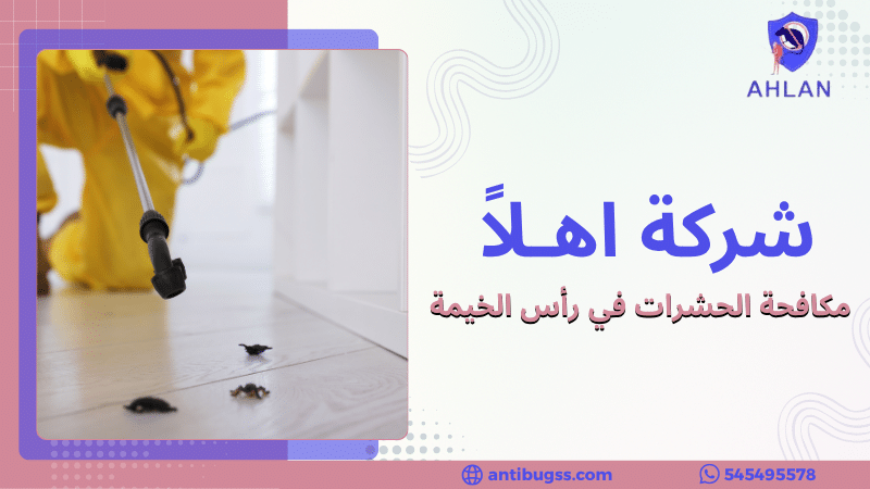 مكافحة الحشرات في رأس الخيمة