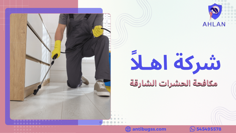 مكافحة الحشرات الشارقة
