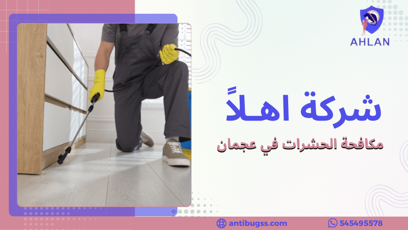 مكافحة الحشرات في عجمان
