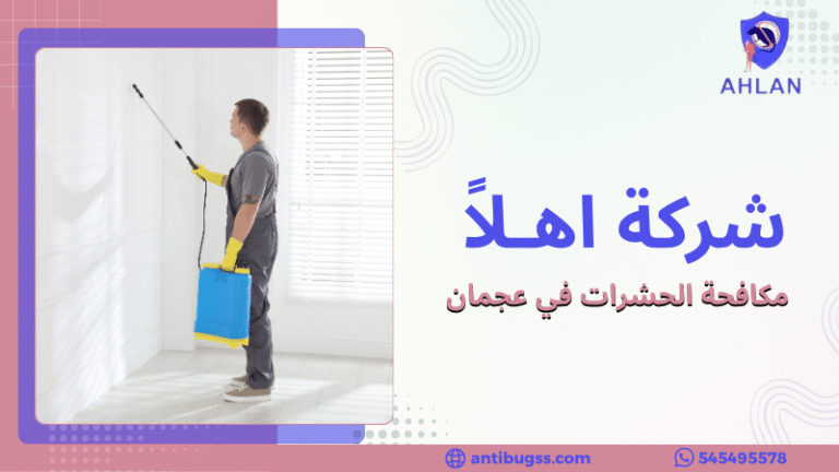 مكافحة الحشرات في عجمان