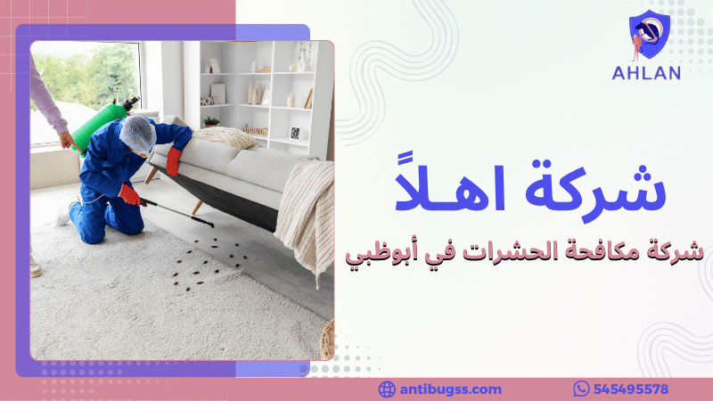 شركة مكافحة الحشرات في أبوظبي
