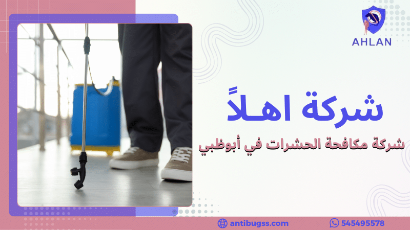 شركة مكافحة الحشرات في أبوظبي