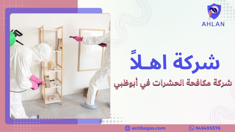 شركة مكافحة الحشرات في أبوظبي