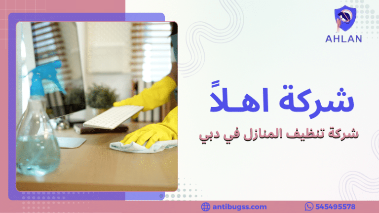 شركة تنظيف المنازل في دبي